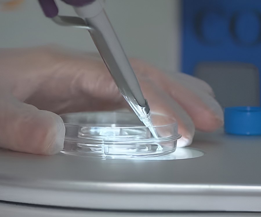 Congelamento de óvulo